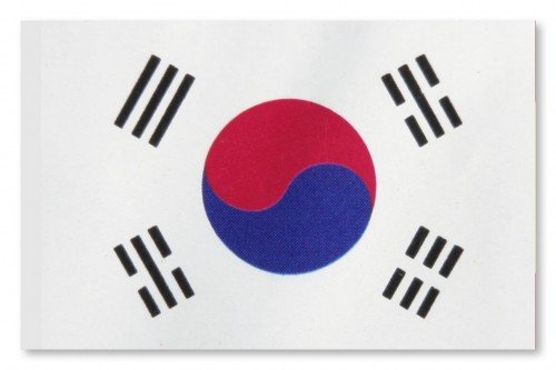 World of Football Fahne Süd Korea