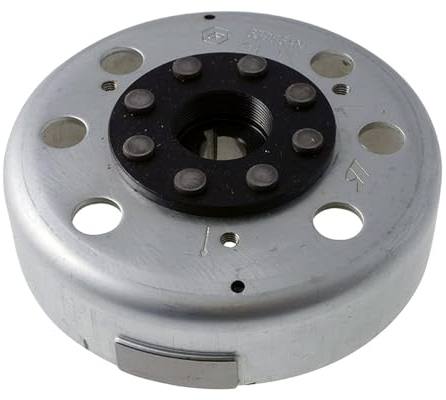 PIAGGIO ORIGINAL Polrad/Rotor 50 2T für Piaggio Sfera RST 50 DT AC 95-97 ZAPC010, GILERA DNA 50 ZAPC270, Zip SSL 50 TT AC 92-96 SSL1T, NRG 50 DT LC 94-96 SAL1T, Power DT AC 05-06 ZAPC453