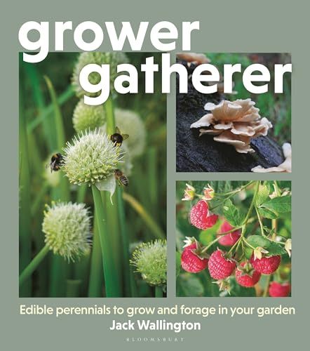 Grower Gatherer: Edible perennials to grow and forage in your garden
