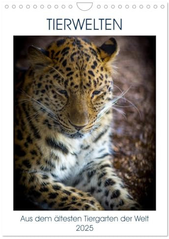 Tierwelten - aus dem ältesten Tiergarten der Welt (Wandkalender 2025 DIN A4 hoch), CALVENDO Monatskalender: Beeindruckende Blicke in die Welt der Tiere im Tiergarten Schönbrunn. (CALVENDO Tiere)