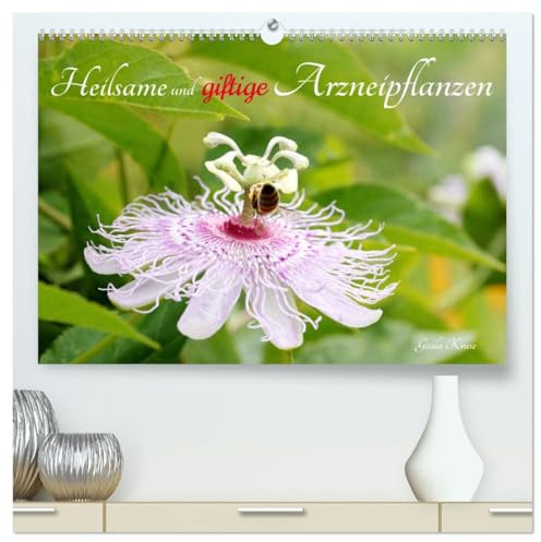 Heilsame und giftige Arzneipflanzen (hochwertiger Premium Wandkalender 2026 DIN A2 quer), Kunstdruck in Hochglanz: Blühende Heilpflanzen wunderschön ... ihrer Wirkweisen (CALVENDO Gesundheit)