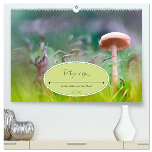 Pilzmagie (hochwertiger Premium Wandkalender 2026 DIN A2 quer), Kunstdruck in Hochglanz: Kleine Pilze im Makro ganz groß dargestellt (CALVENDO Natur)