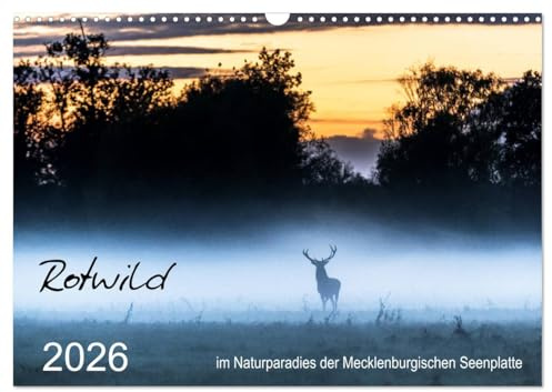 Rotwild - im Naturparadies der Mecklenburgischen Seenplatte (Wandkalender 2026 DIN A3 quer), CALVENDO Monatskalender: Rotwild beobachtet an der Mecklenburgischen Seenplatte (CALVENDO Tiere)
