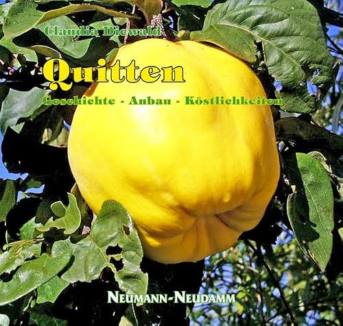 Quitten: Geschichte - Anbau - Köstlichkeiten