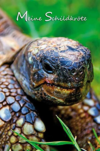 Meine Schildkröte: Griechische Landschildkröte. Notizbuch, Journal, Tagebuch, Format A5, 120 Seiten, fein hellgrau liniert. Geschenkidee für Schildkrötenfans und alle Tierfreunde