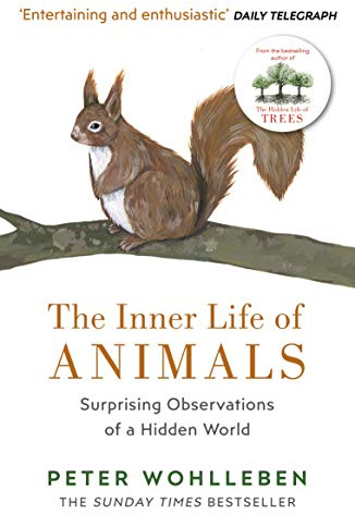The Inner Life of Animals: Surprising Observations of a Hidden World