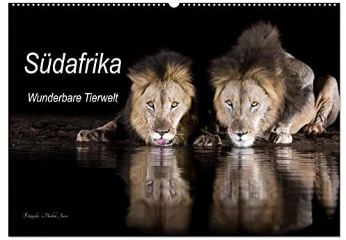 Südafrika wunderbare Tierwelt (Wandkalender 2026 DIN A2 quer), CALVENDO Monatskalender: Einblick in die Tierwelt Südafrikas (CALVENDO Natur)
