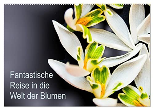 Fantastische Reise in die Welt der Blumen (Wandkalender 2026 DIN A2 quer), CALVENDO Monatskalender: perfekter Jahresbegleiter für Liebhaber einheimischer Blumen (CALVENDO Natur)