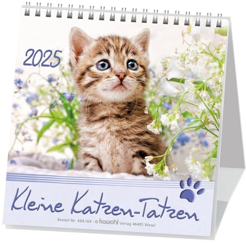 Kleine Katzen-Tatzen 2025: Postkarten-Kalender