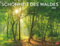 Schönheit des Waldes Posterkalender 2026: Eine mystische Reise durch die Welt der Bäume: Landschafts-Kalender im Großformat 44 x 34 cm, der Ruhe und Gelassenheit ausstrahlt
