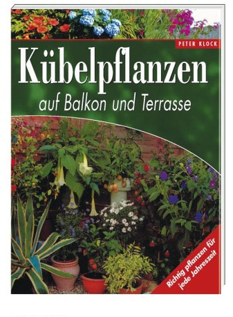 Kübelpflanzen auf Balkon und Terrasse