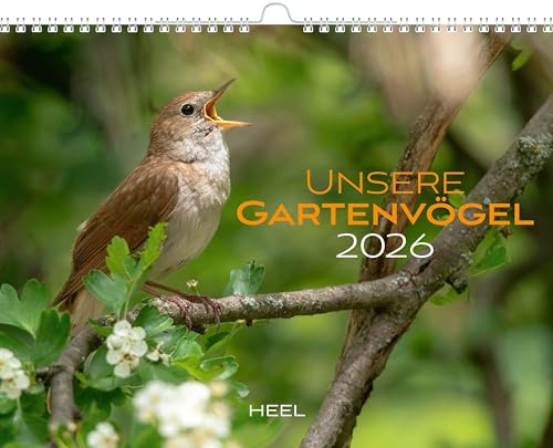 Kalender Unsere Gartenvögel 2026 Eintragkalender: Vögel in heimischen Gärten