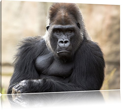 Pixxprint gelangweilter Gorilla, Größe: 120x80cm, Leinwandbild, fertig gespannt, Wandbild, Dekoration, Kunstdruck, kein Poster