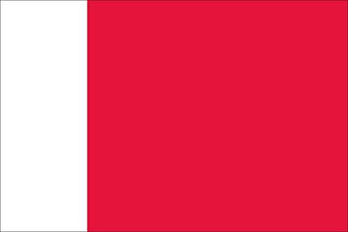 flaggenmeer® Flagge Dubai 110 g/m² ca. 200 x 335 cm