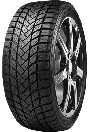 Delinte 205/55 R17 95H Winterreifen 3PMSF Reifen