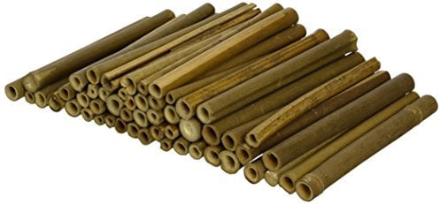 Wildlife World BTW1 Holzrohren für Bienen, 50er Verpackung