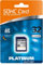 Platinum Class 10 SDHC Secure Digital