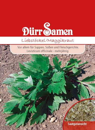 Liebstöckel Samen Liebstöckelsamen Maggikraut ca 50 Korn Küchenkräuter Kräutersamen Saatgut Balkon Garten Hochbeet Kübel Dürr Samen