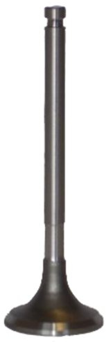 JAPANPARTS VV-NI003 Auslassventil Kompatibel mit NISSAN Patrol GR V SUV Y61 1320240L00 1320240L01 132024P400