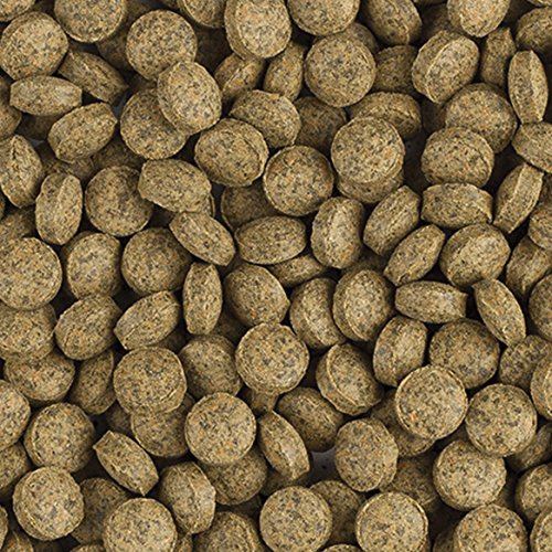 Tropical BL Veggie Tablet B Plant Food Tablets, 1 Pack (1 x 1 Kg
