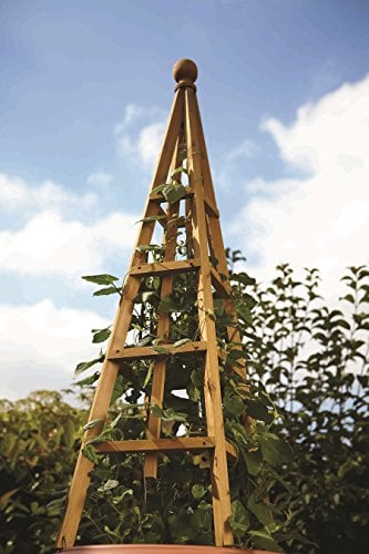 Smart Garden Tan Wooden Woodland Obelisk 1.9m Plant Support