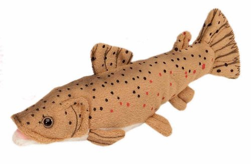 Bauer Spielwaren Blickfänger Bachforelle Plüschtier: Naturgetreues Kuscheltier, extraweich, ideal auch als Geschenk, 25 cm, beige (14058)