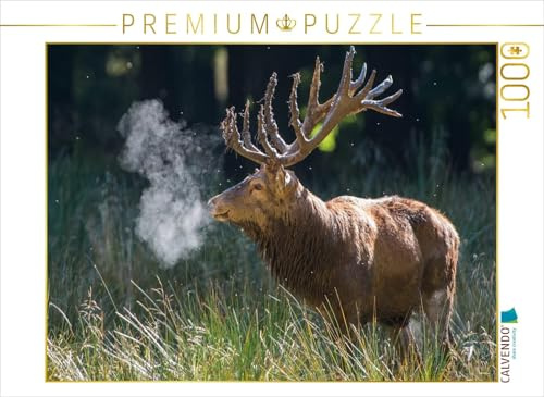 CALVENDO Puzzle Januar: Die Morgenkälte lässt den Atem des Platzhirschen zu heißen Dampf Werden. | 1000 Teile Lege-Größe 64 x 48 cm Foto-Puzzle für glückliche Stunden