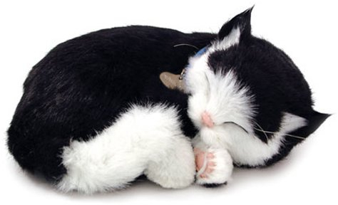 Perfect Petzzz - 65432 – Interaktives Plüschtier – Katze – Shortair Bundle – Schwarz/Weiß – Tier atmet echt – 25 cm