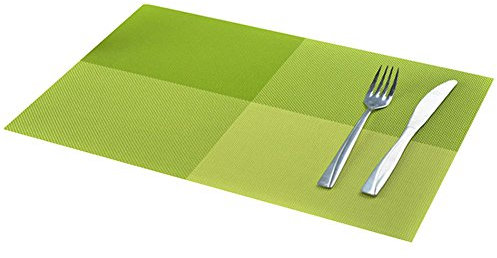 TININNA 4er Set Elegante Bunt Gewebter Tischsets Tischunterlage Platzdecken Platzset Platzmatten Tischmatten grün EINWEG Verpackung