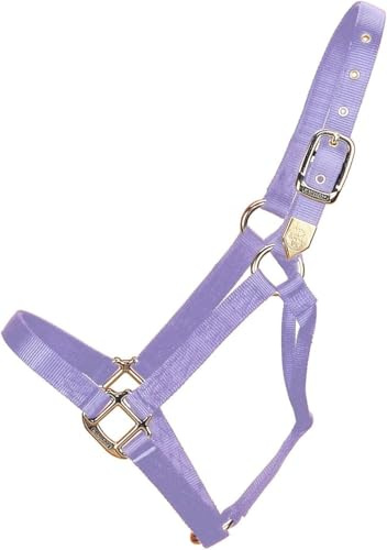 Hamilton Pferdhalfter, 2,5 cm, Nylon