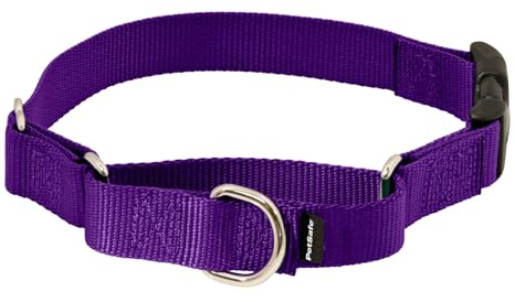 PetSafe Martingale Hundehalsband mit Schnellverschluss-Schnalle, zierlich, 1,9 cm, Dunkelviolett