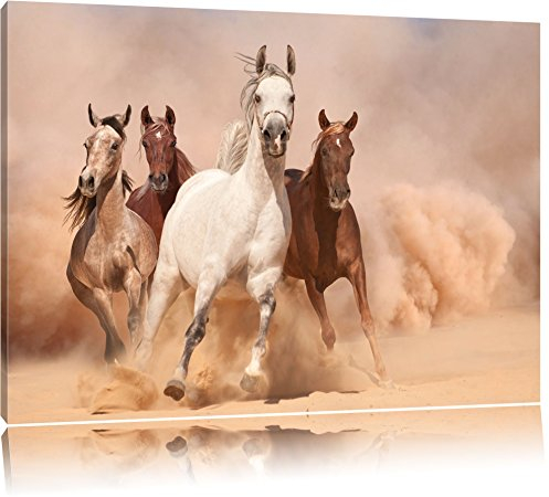 Pixxprint Western Pferde in Wüste, Größe: 60x40cm, Leinwandbild, fertig gespannt, Wandbild, Dekoration, Kunstdruck, kein Poster