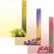 Briefpapier-Mappe Frühlings-Mix Krokusse - Narzissen - Tulpen, 48-teilig 3x10 Blatt Briefpapier + 3x6 Stück Briefumschläge DIN lang ohne Fenster 5720+5730+5740