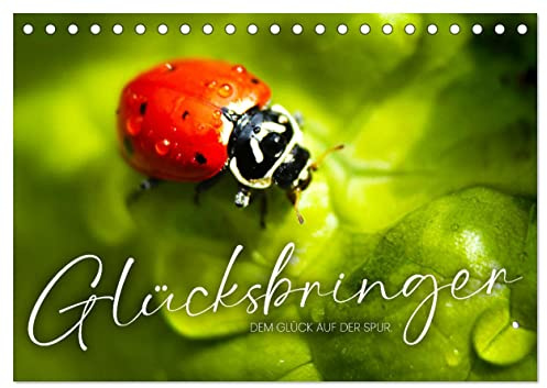 Glücksbringer - Dem Glück auf der Spur. (Tischkalender 2026 DIN A5 quer), CALVENDO Monatskalender: Glücksbringer von überall auf der Welt. (CALVENDO Hobbys)