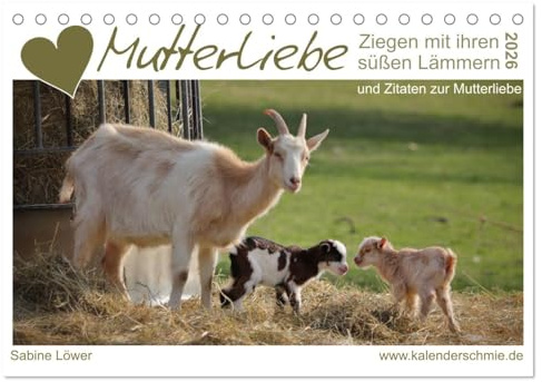 Mutterliebe - Ziegen mit ihren süßen Lämmern (Tischkalender 2026 DIN A5 quer), CALVENDO Monatskalender: Ziegenmütter, Zicklein und Zitate (CALVENDO Tiere)
