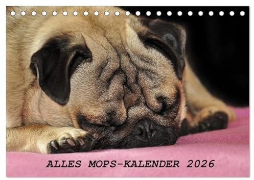 Alles Mops-Kalender 2026 (Tischkalender 2026 DIN A5 quer), CALVENDO Monatskalender: Wunderbare Mopsmotive (CALVENDO Tiere)