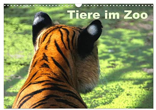Tiere im Zoo (Wandkalender 2026 DIN A3 quer), CALVENDO Monatskalender: Ein Besuch im Zoo ist immer einen Ausflug wert. (CALVENDO Tiere)