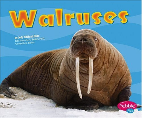 Walruses (Pebble Plus: Under the Sea)