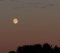 Tagebuch Mond: 3 Tage pro Seite Jahresneutral, ca. 20 x 18 cm, liniert