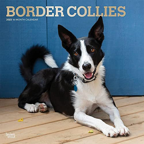 Border Collies 2023 Square Foil Calendar