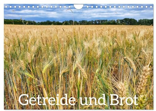 Getreide und Brot (Wandkalender 2026 DIN A4 quer), CALVENDO Monatskalender: Getreide auf dem Feld, Ernte und fertiges Brot. (CALVENDO Natur)