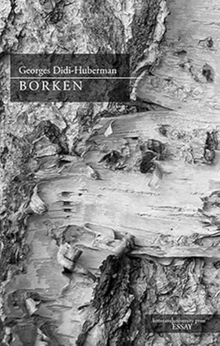 Borken: Essay (Essay [KUP])