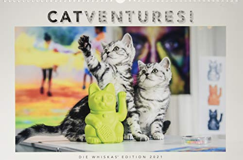 Whiskas Katzenkalender Kalender 2021: Catventures!