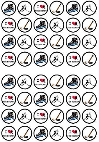 48 PRECUT Ice Hockey Edible Mini Cupcake Toppers - Sports Theme Premium Thickness SWEETENED VANILLA - wafer card disc cake decorations
