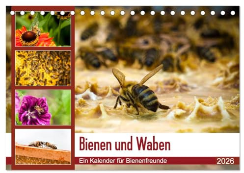 Bienen und Waben (Tischkalender 2026 DIN A5 quer), CALVENDO Monatskalender: Bienen auf Blüten und Waben. (CALVENDO Tiere)