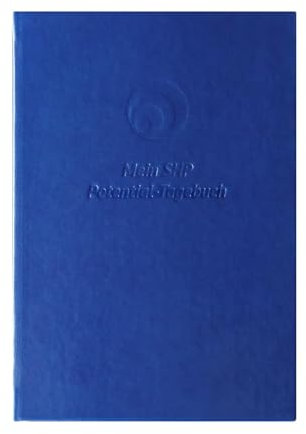 Mein SHP POTENTIAL-Tagebuch: Dankbarkeitstagebuch, Erfolgstagebuch, Glückstagebuch mit Selbstreflexion in unter 5 Minuten zu mehr Erfolg & Freude in Deinem Leben.