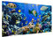Magnettafel Underwater Reef Memoboard Design Quer Metall Magnet Pinnwand Motiv Wand Stahl Küche Büro, Größe HxB: 37cm x 78cm