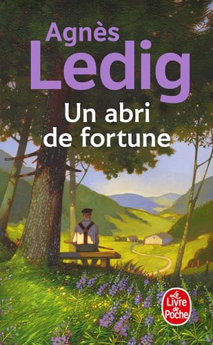 Un abri de fortune: Roman