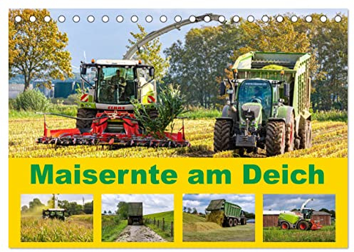 Maisernte am Deich (Tischkalender 2025 DIN A5 quer), CALVENDO Monatskalender