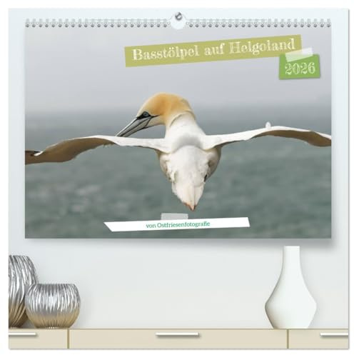Basstölpel auf Helgoland - von Ostfriesenfotografie (hochwertiger Premium Wandkalender 2026 DIN A2 quer), Kunstdruck in Hochglanz: Zu Besuch bei den Basstölpeln auf Helgoland (CALVENDO Tiere)